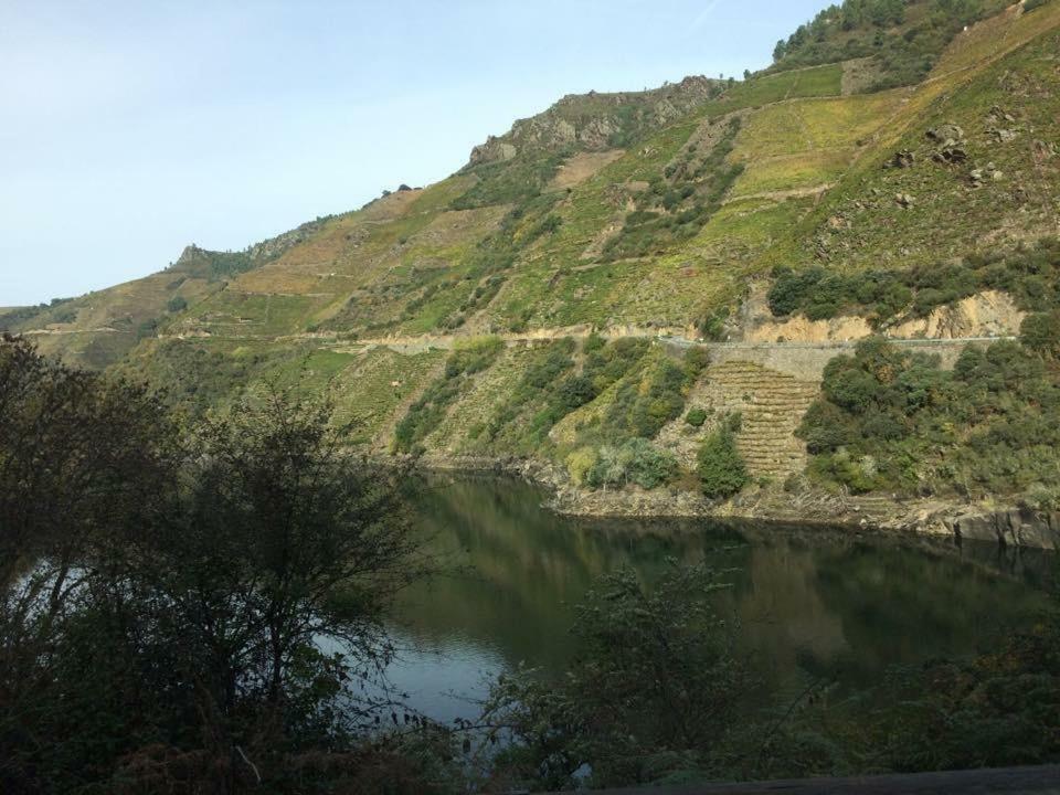 Acogedor Apartamento Ribeira Sacra Монфорте-де-Лемос Экстерьер фото