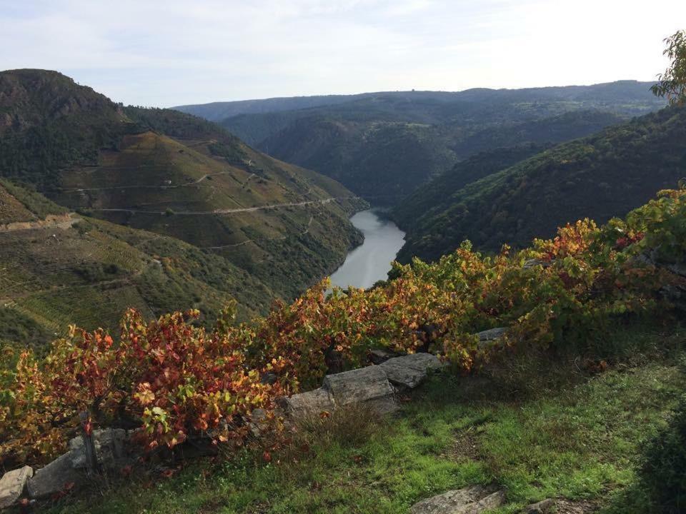 Acogedor Apartamento Ribeira Sacra Монфорте-де-Лемос Экстерьер фото